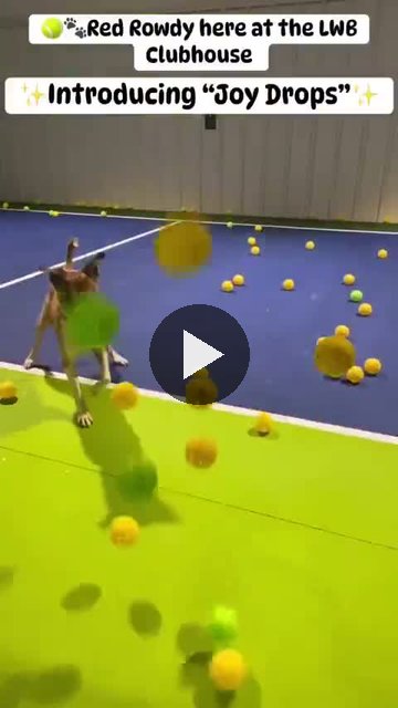Video — August 31 2026